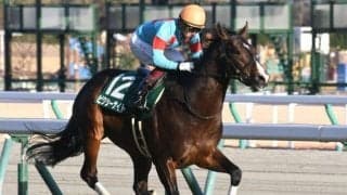 【アーリントンC見どころ】ピクシーナイトが重賞2連勝を狙う