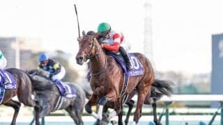 GI皐月賞とJ・GI中山グランドジャンプに注目/今週の競馬界の見どころ