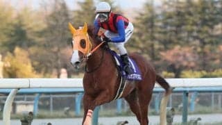 【金沢・JBCイヤー記念結果】ハクサンアマゾネスが断然人気に応え4馬身差V