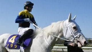 【勝負の分かれ目 桜花賞】吉田隼人騎手が力を引き出し、ソダシが白毛馬初のクラシック制覇
