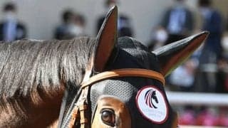 【桜花賞】銜受け不良のメイケイエールは平地調教再審査