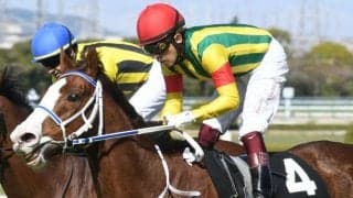 【大阪ーハンブルクC結果】ミスマンマミーアが差し切りレコードV