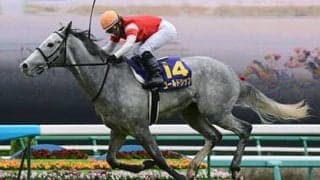 「ウマ娘」再注目のゴールドシップ。語り継がれる唯一無二の走り