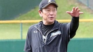 夕張メロン、エゾシカ缶詰…　日本ハムが北海道特産品付きチケット発売