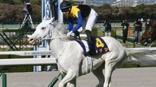 【桜花賞回顧】ソダシ　2週連続で純度100%の“金子血統”がGI制覇/栗山求