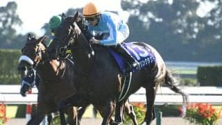 【香港チャンピオンズデー】2競走の勝馬投票券発売が決定　デアリングタクトなどが出走予定