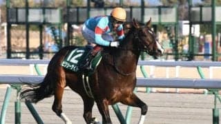 【アーリントンC展望】GI馬続出の出世レース、好走の条件とは