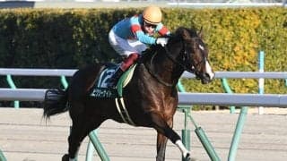 【アーリントンC出走馬決定順】フルゲート18頭に19頭の登録
