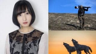佐倉綾音がナビゲート！極寒の地で生きるオオカミたちの生態に迫る