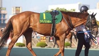ホッカイドウ競馬が開幕！ “日本一早い新馬戦”に新種牡馬産駒たちが登場/斎藤修