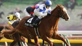 【先週のJRA抹消馬】2018年地方最優秀ターフ馬ハッピーグリン、萩本欽一氏の所有馬ジョブックコメンなど