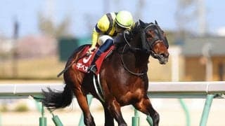 【次走】金鯱賞で最低人気Vのギベオン　引き続き西村淳也騎手でマイラーズCへ