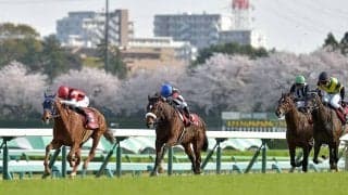 【天皇賞・春 想定】68年ぶり牝馬の春盾制覇へ、日経賞上位のウインマリリン・カレンブーケドールなど参戦