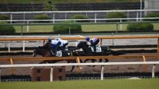 ミスニューヨーク、福島牝馬S1週前追い切り速報/栗東トレセンニュース