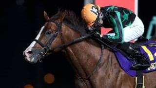 【大井・ブリリアントC】重賞初制覇のフィアットルクス　本橋孝太騎手「自信を持って挑むことができた」