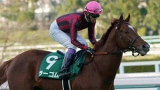 【皐月賞展望】牡馬クラシック第一弾、あの馬の戴冠を期待したい