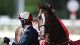 【地方競馬】大井・ブリリアントCの売得金はレコードの6億2142万円