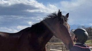 「馬の運命を変えるのは人間」元競走馬キクノエンブレムとかけがえのない出会い