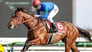 【次走】バスラットレオンは引き続き藤岡佑介騎手とNHKマイルCへ