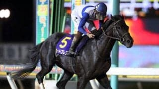 【アンタレスS展望】スタミナが問われる一戦、注目はあの馬