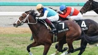 皐月賞・中山／芝2000ｍを制する血統は？　有力馬２頭の適正を分析