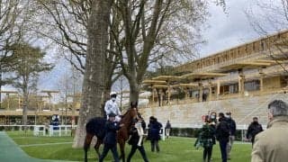 【仏ザルカヴァ賞】アマレナ 今年初戦は5着