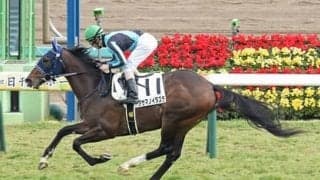 皐月賞は荒れ馬場適性を重視。穴党記者は低評価の実力馬４頭をゲキ推し