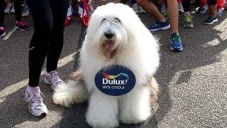 スパーズ、新公式パートナーの不適切投稿に粋な対応!　ドハーティ加入時のオマージュで笑い誘う