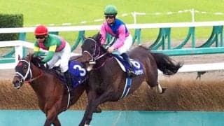 【中山GJ】メイショウダッサイが新王者に！オジュウチョウサンは敗れる