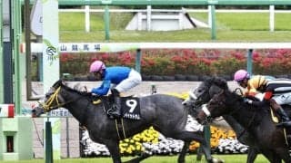 【山藤賞】4番人気 プレイイットサムが2連勝