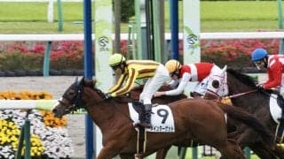 【中山6R】ダイワメジャー産駒 メインターゲットが2勝目