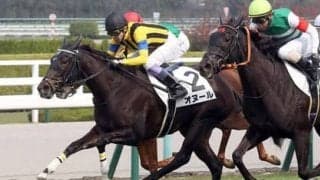 オヌールが「打倒ソダシ」へ虎視眈々。母はフランスオークス馬の超良血