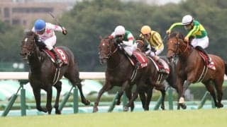 リオンリオンが競走馬登録抹消