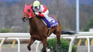 【水沢・あやめ賞】ゴールデンヒーラーが完勝！