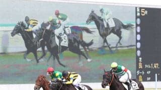 【フローラS登録馬】オヌールなど17頭が登録