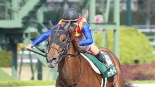 【アンタレスS】松若「馬の能力を信じて」テーオーケインズが完勝