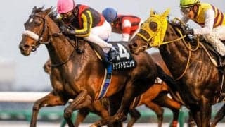 【福島牝馬S展望】今年は新潟で行われる牝馬限定戦、あの馬に期待