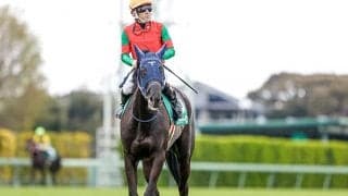 【フローラＳ出走馬決定順】フルゲート18頭に17頭の登録