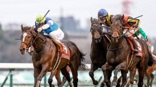 【天皇賞・春出走馬決定順】フルゲート18頭に17頭の登録