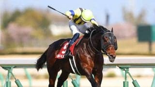 【マイラーズＣ出走馬決定順】フルゲート18頭に17頭の登録