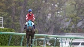 JGI・7勝のオジュウチョウサンが左前脚第1指骨骨折、手術へ