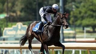 26回目を迎えたTOKYO CITY CUP(GIII)はティザマジシャンが人気に応えて圧勝！