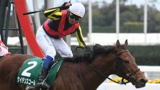 【マイラーズC予想オッズ】ケイデンスコールが予想1番人気に