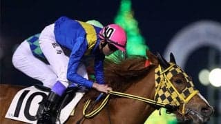 続々と勝ち名乗り！中央・地方問わず目立つ新人ジョッキーの活躍/斎藤修