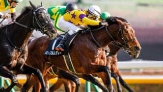 【フローラS展望】オークストライアル、適性あるあの馬に期待したい