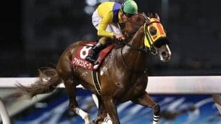 【川崎・スパーキングマイラーズチャレンジ結果】4番人気のファルコンビークが逃げ切り勝ち