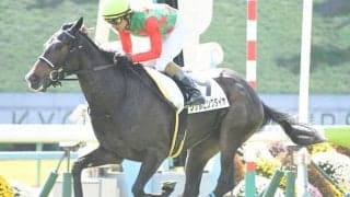 【福島牝馬S予想オッズ】シゲルピンクダイヤが予想1番人気に