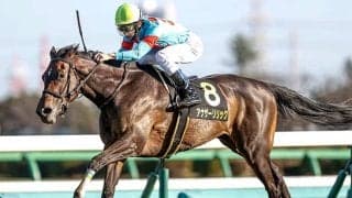 【次走】アネモネS覇者のアナザーリリックはNHKマイルCへ