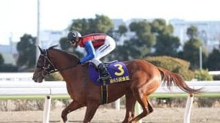 【地方競馬】令和2年の川崎競馬 最優秀競走馬賞はマンガン、最優秀騎手賞は山崎誠士騎手