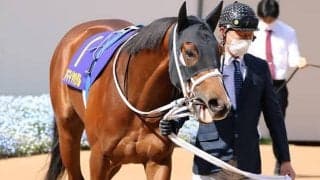 【次走】皐月賞4着のアドマイヤハダルは日本ダービーへ